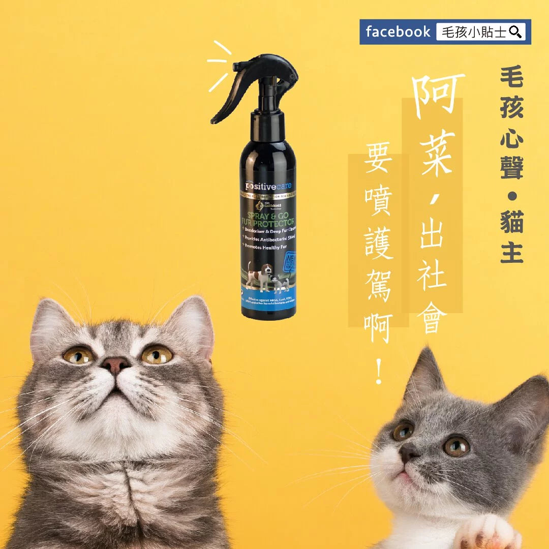 毛管家【乾洗噴霧】護駕噴噴乾洗澡