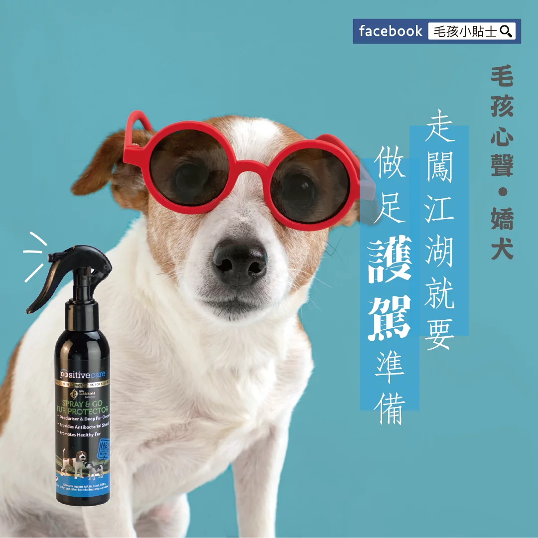 毛管家【乾洗噴霧】護駕噴噴乾洗澡