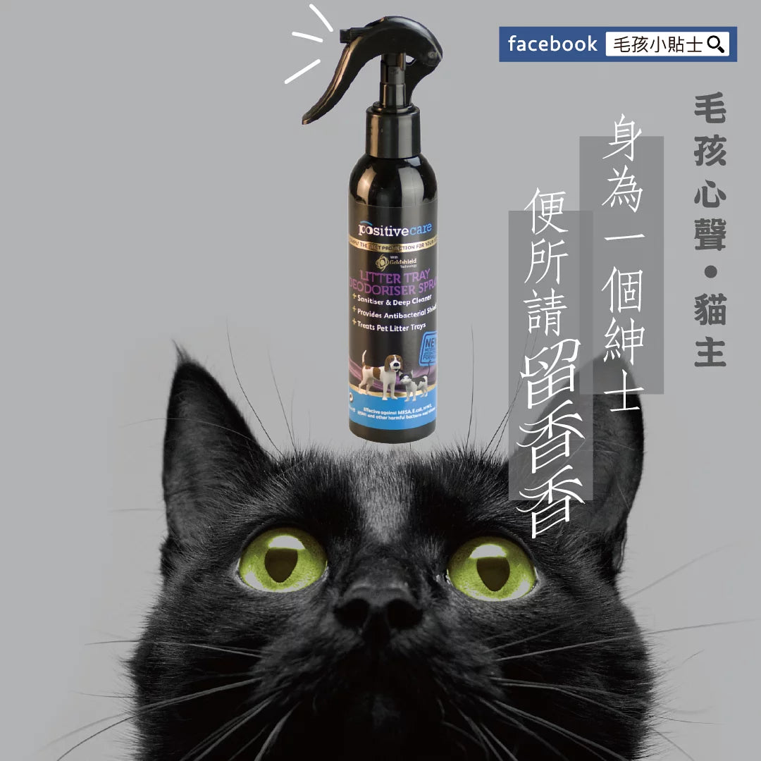 毛管家【廁所除臭】0臭菌廁所噴霧-砂盆尿盆除臭14天