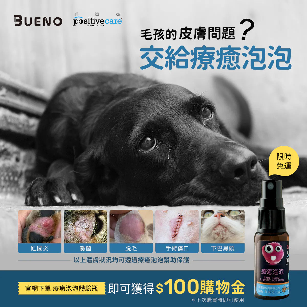 毛管家【體驗5ml】療癒泡泡 - 貓狗適用
