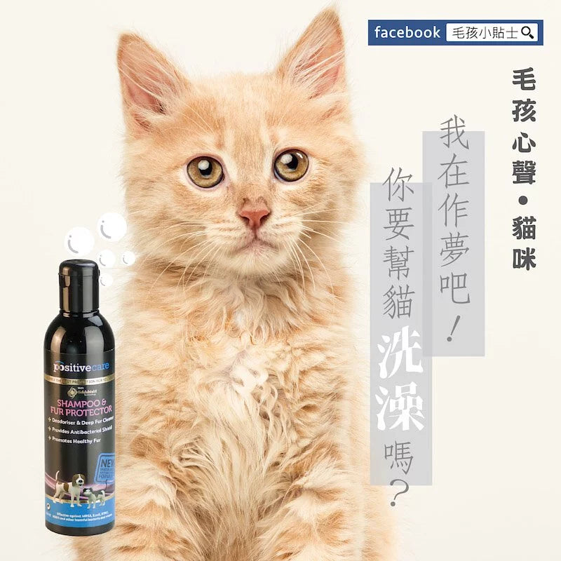 毛管家【敏乾肌洗劑】SPA毛毛癒 寵物洗劑/洗澡/清潔