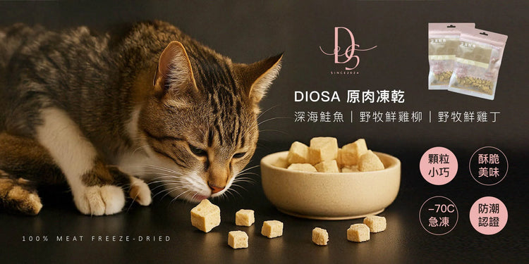 DIOSA 凍乾零食