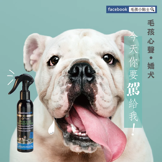 毛管家【乾洗噴霧】護駕噴噴乾洗澡