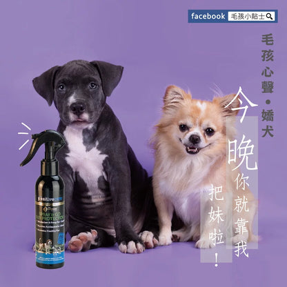 毛管家【乾洗噴霧】護駕噴噴乾洗澡