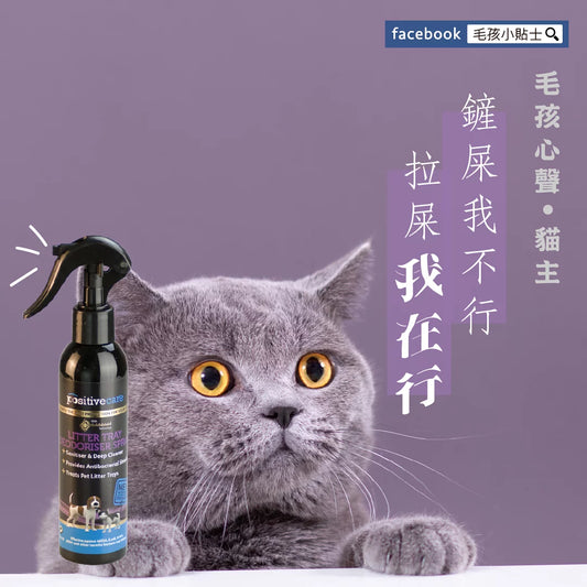 毛管家【廁所除臭】0臭菌廁所噴霧-砂盆尿盆除臭14天