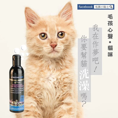 毛管家【敏乾肌洗劑】SPA毛毛癒 寵物洗劑/洗澡/清潔